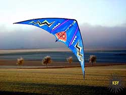 thunderbird kite in champagne france