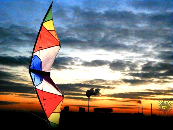 needle allround kite