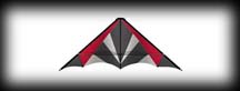 SIR ( 1994-1998 )